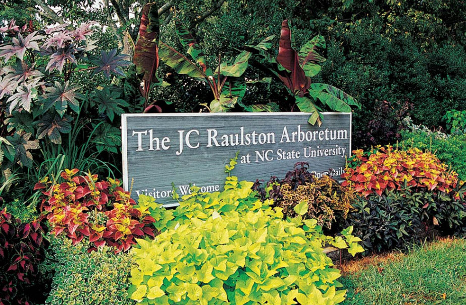JC Raulston Arboretum, United States